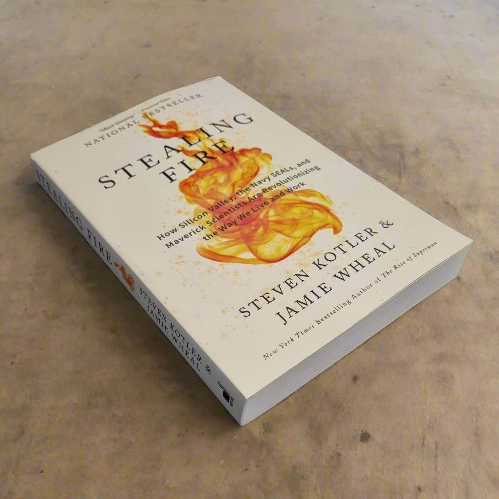 Stealing Fire: How Silicon Valley, the Navy SEALs, and Maverick Scientists Are Revolutionizing the Way We Live and Work by Steven Kotler, Jamie Wheal - Bramylea.shop